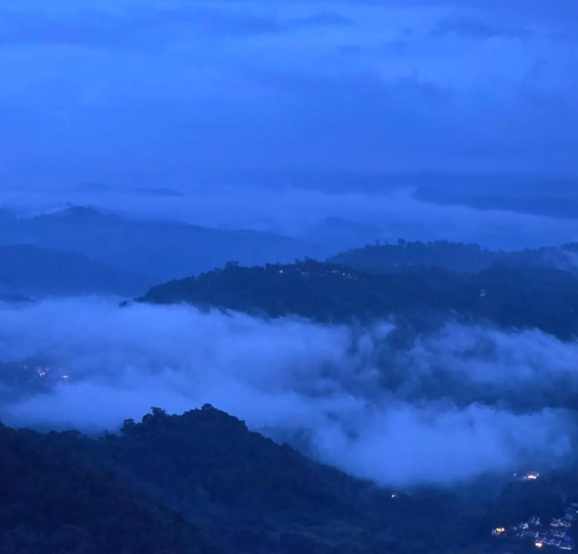 The Unplugged Escape Villa ,Munnar India