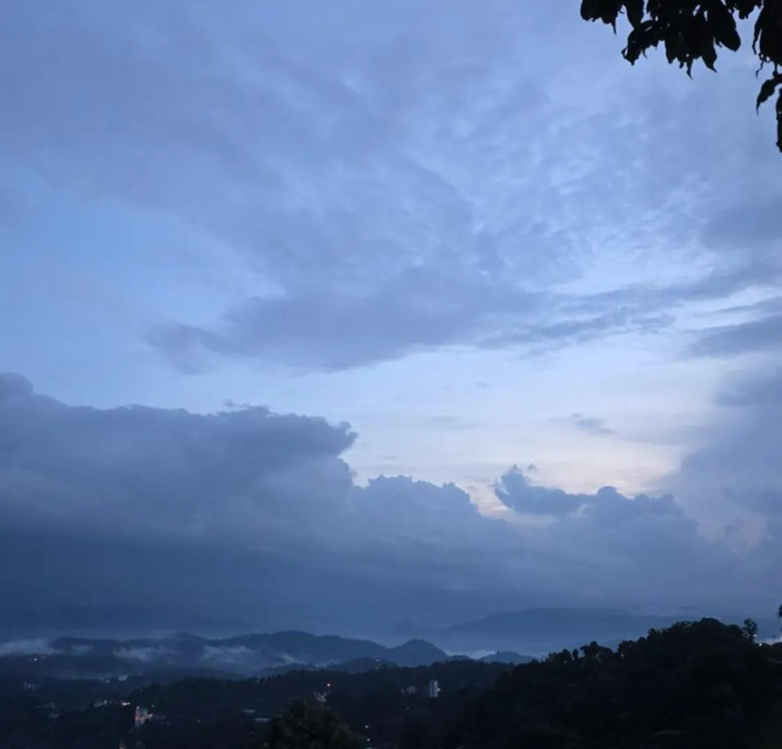 The Unplugged Escape Villa ,Munnar Holiday home Munnar