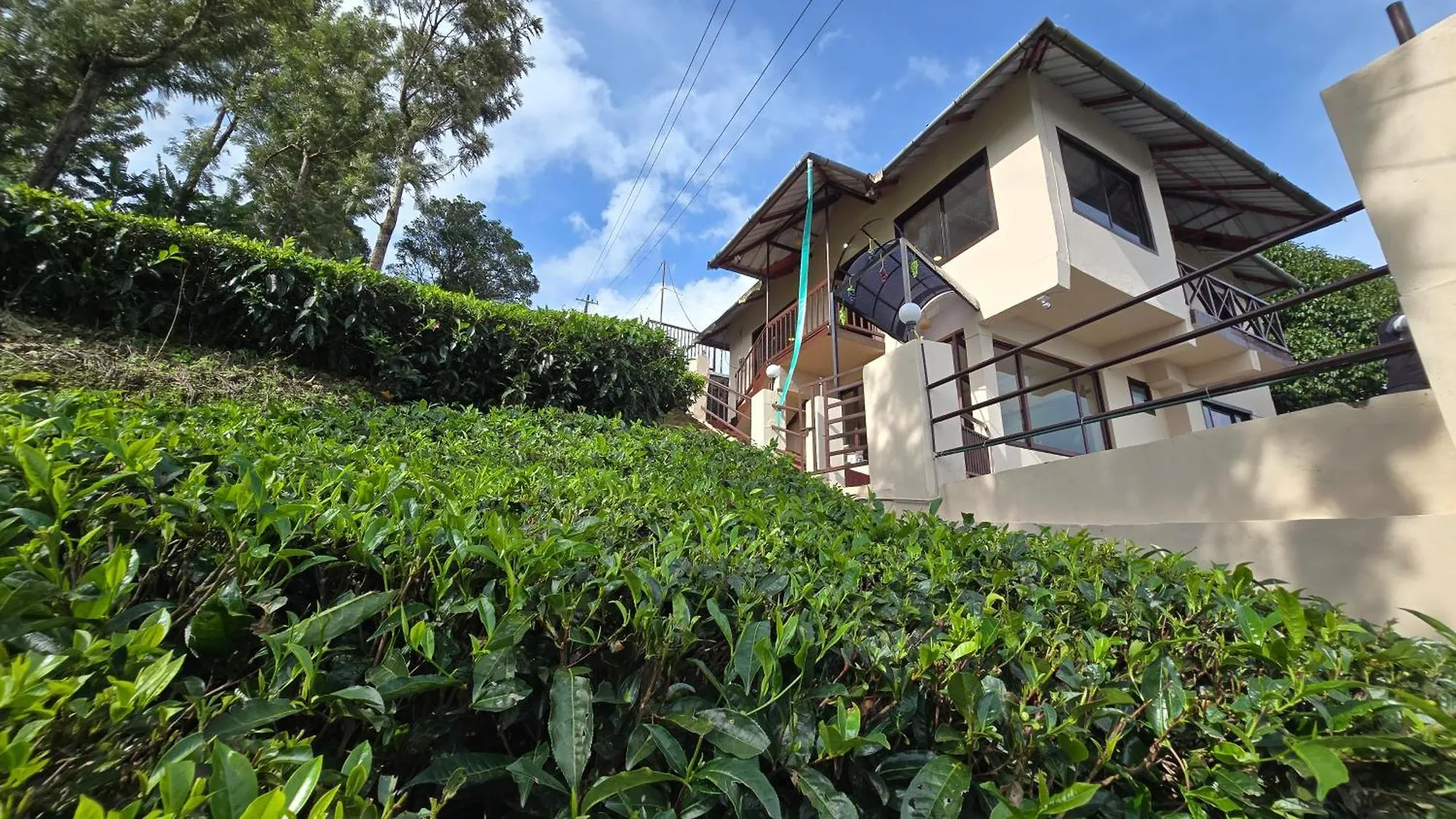 The Unplugged Escape Villa ,Munnar Munnar